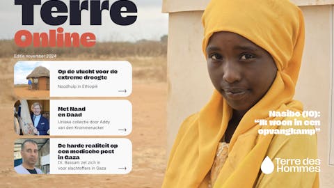 Terre Online november 2024